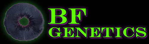 BF Genetics